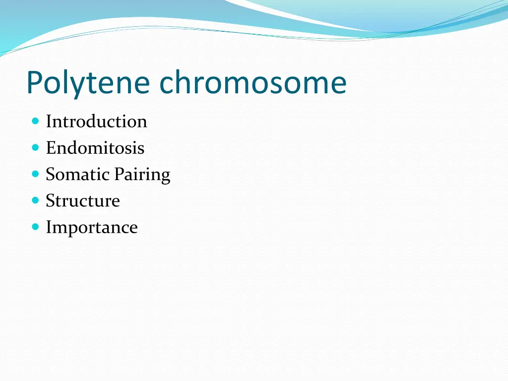 polytene chromosome