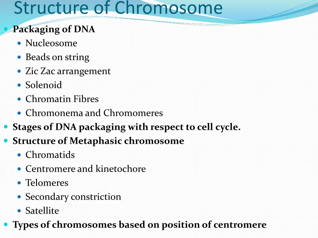 structure of chromosome