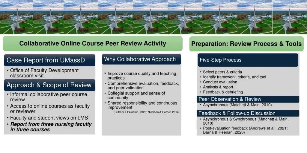 collaborative online course peer review activity