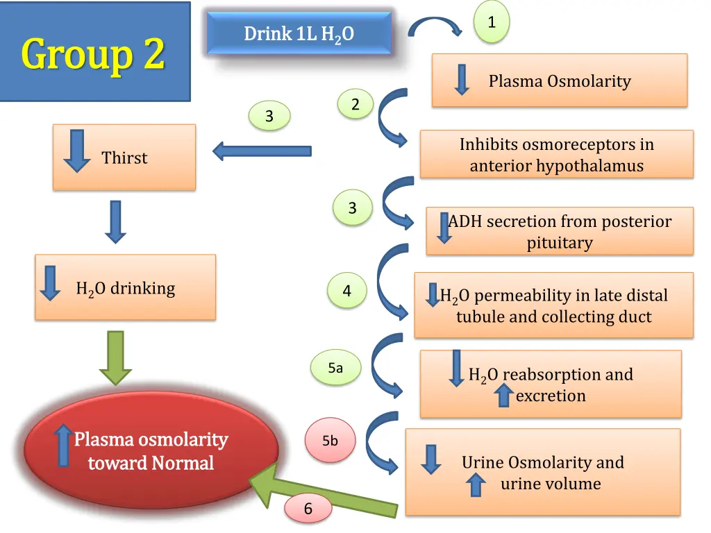 slide12