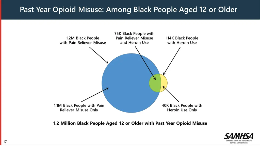 past year opioid misuse among black people aged