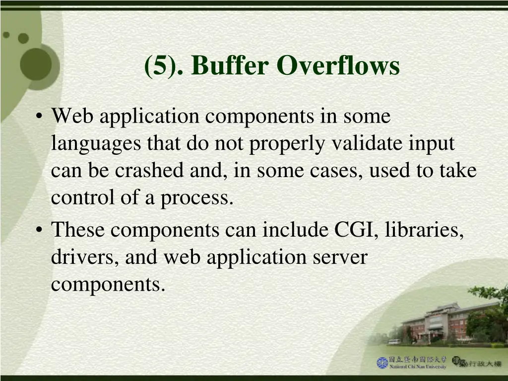 5 buffer overflows
