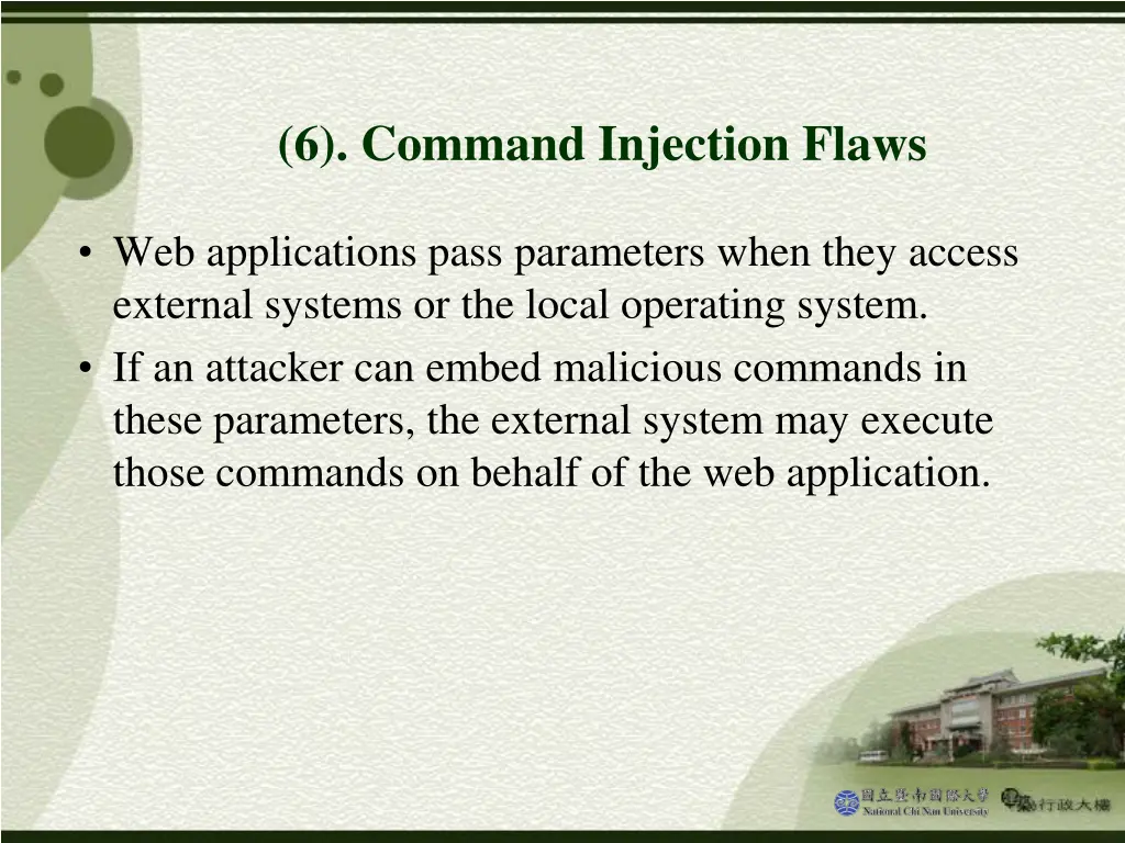 6 command injection flaws