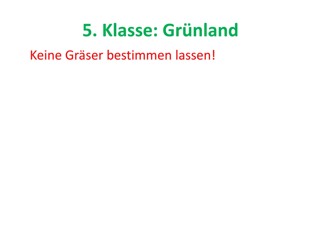 5 klasse gr nland 6