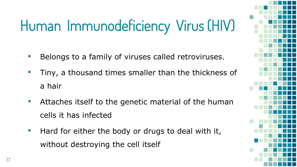 human immunodeficiency virus hiv human