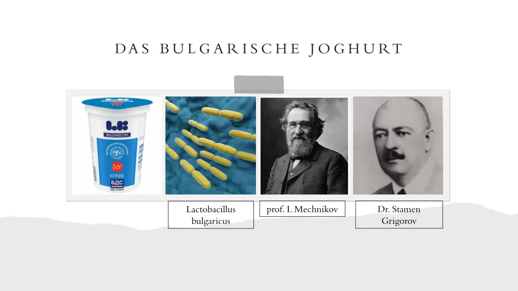 da s bu l g a r i s c h e j o g h u rt