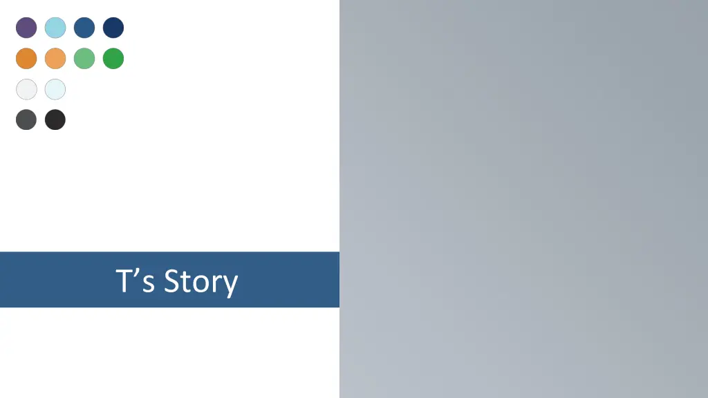 t s story