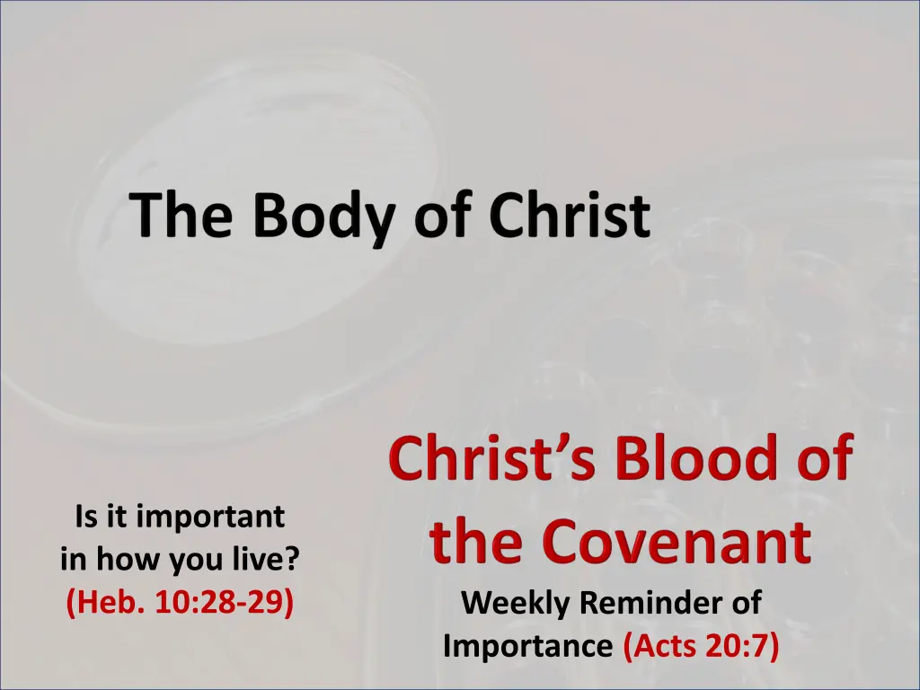 is it important in how you live heb 10 28 29