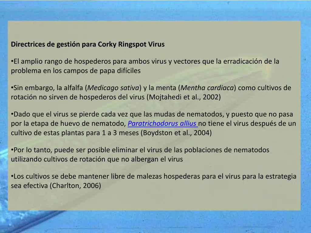 directrices de gesti n para corky ringspot virus