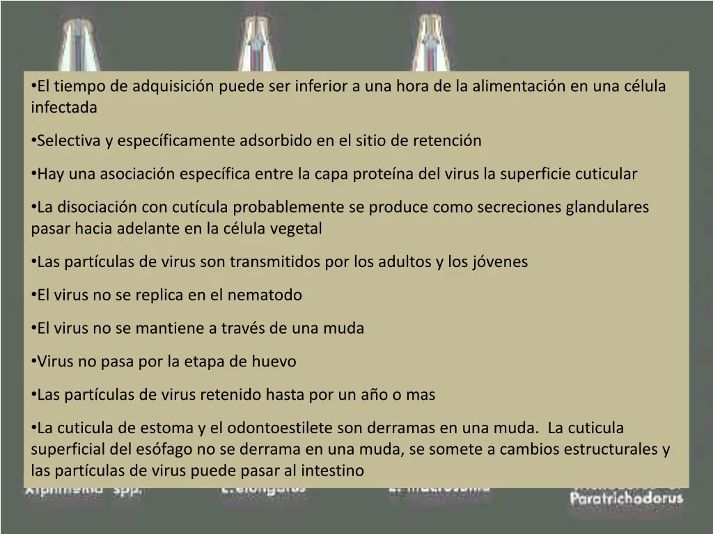 el tiempo de adquisici n puede ser inferior