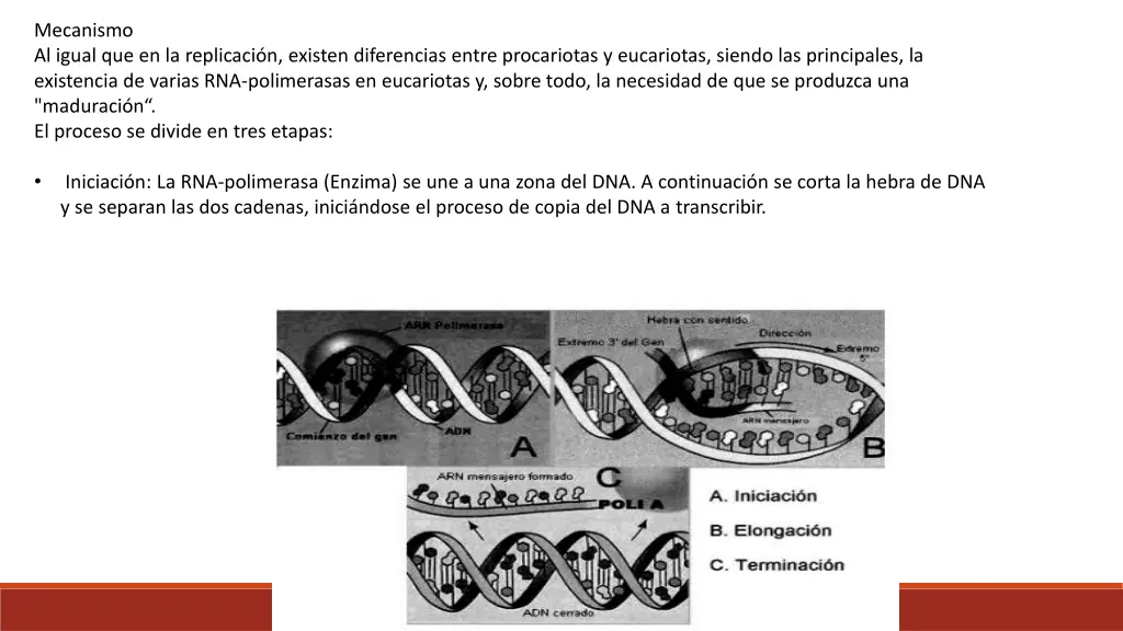 mecanismo al igual que en la replicaci n existen