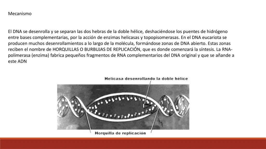 mecanismo