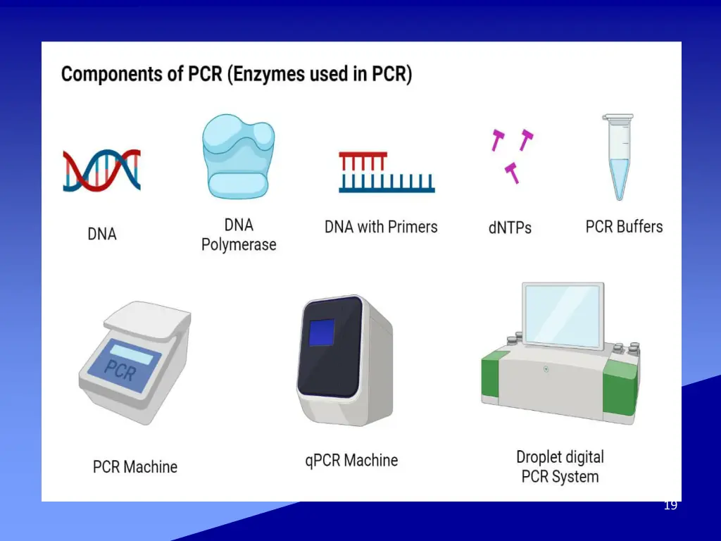 slide19