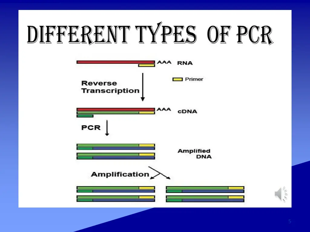 slide5