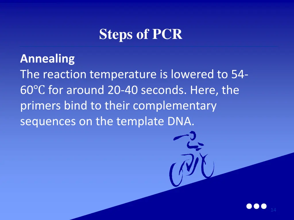 steps of pcr 1