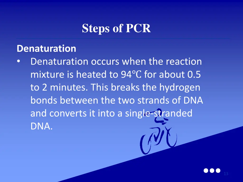 steps of pcr