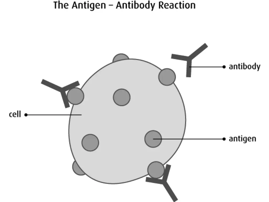 slide10