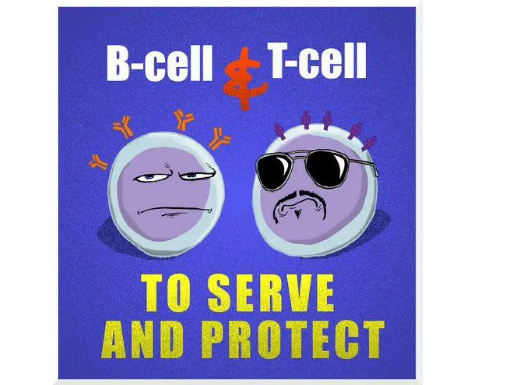 slide14