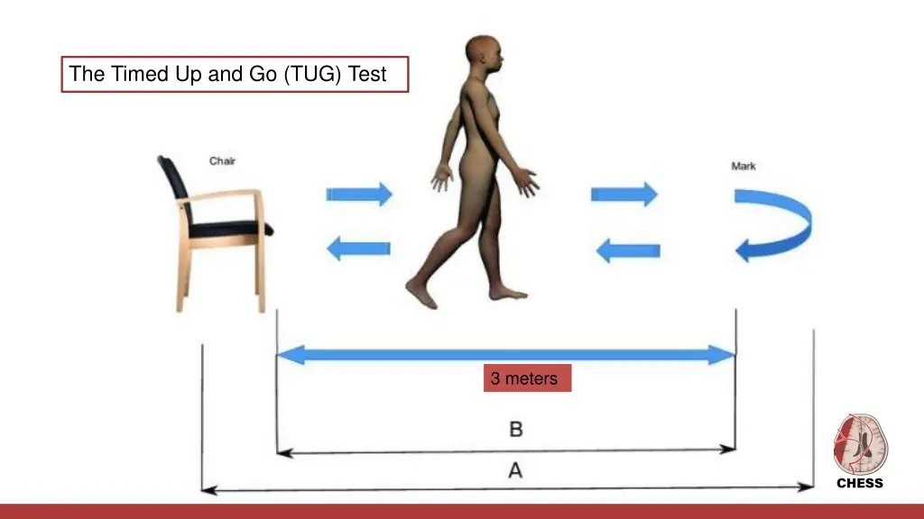 the timed up and go tug test