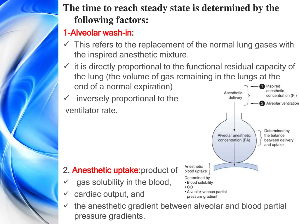 the time to reach steady state is determined