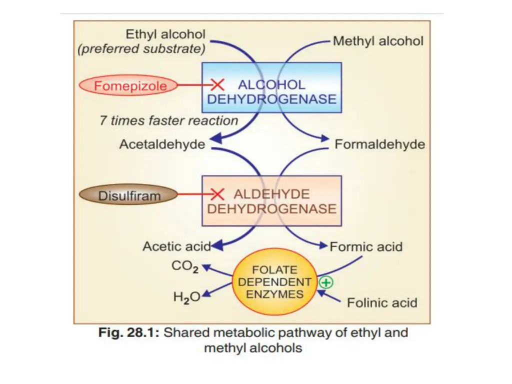 slide32
