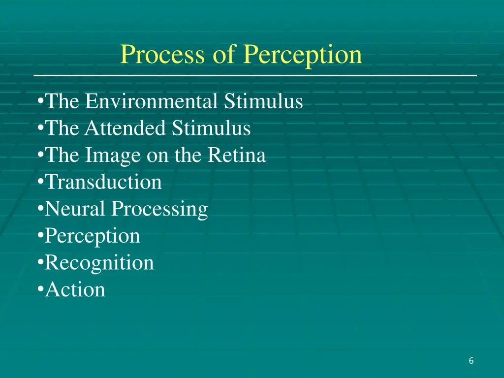 process of perception 1