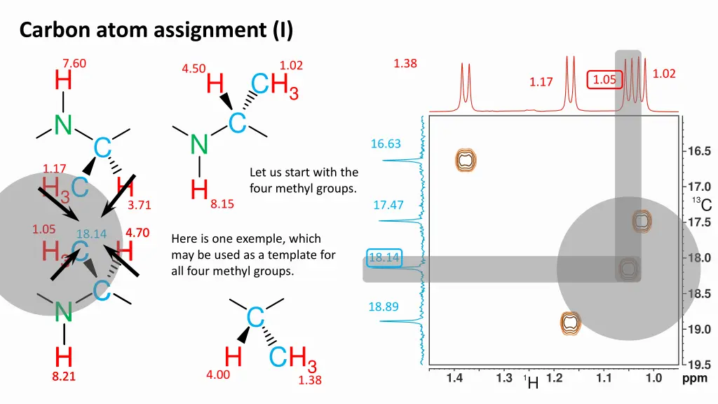 carbon atom assignment i