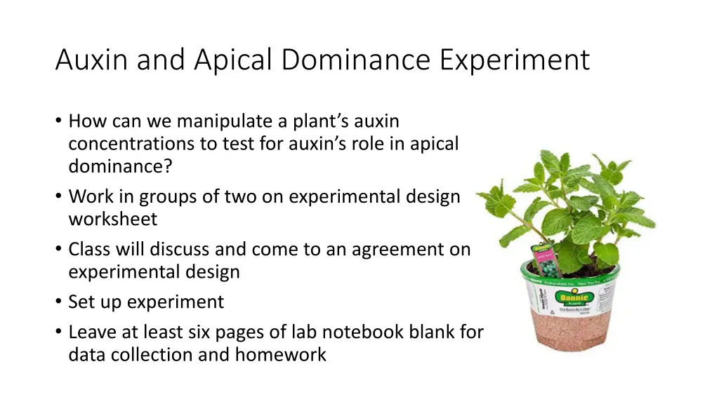 auxin and apical dominance experiment