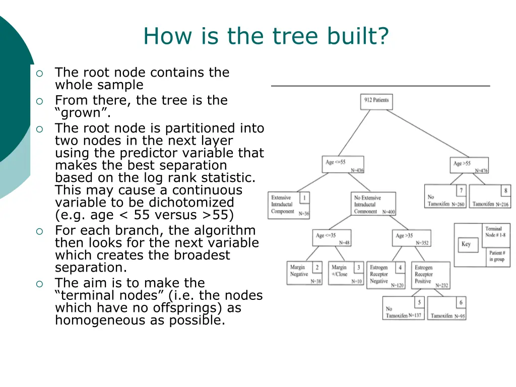 how is the tree built
