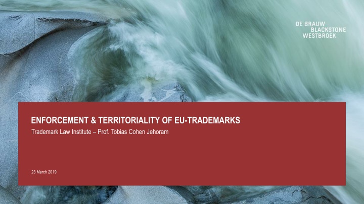 enforcement territoriality of eu trademarks
