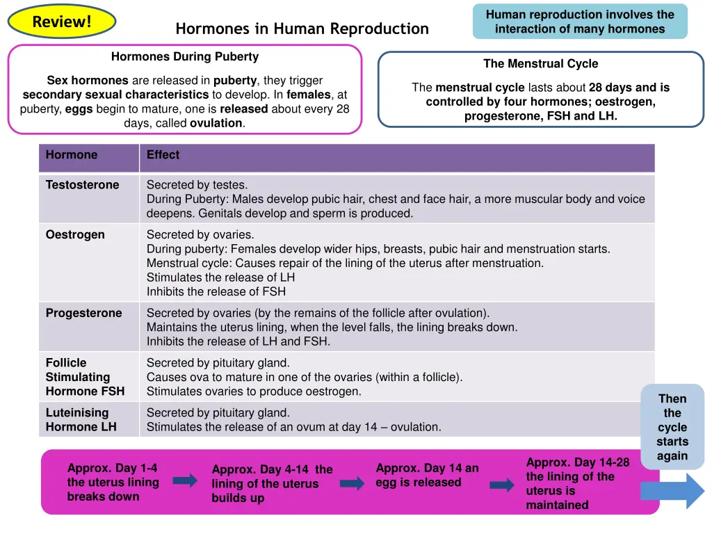 human reproduction involves the interaction