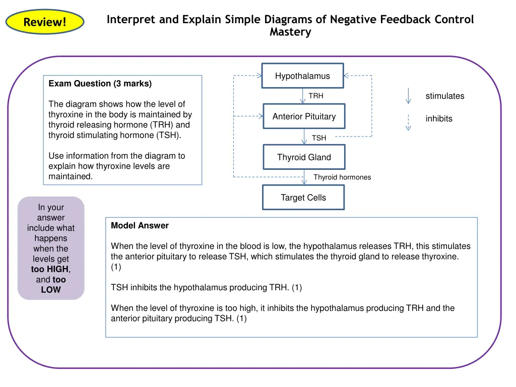 interpret and explain simple diagrams of negative