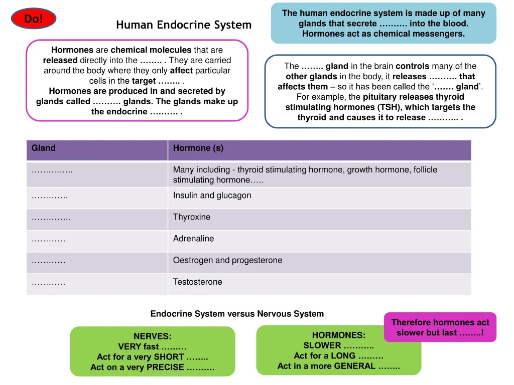 the human endocrine system is made up of many 1