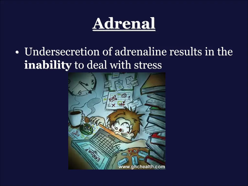 adrenal
