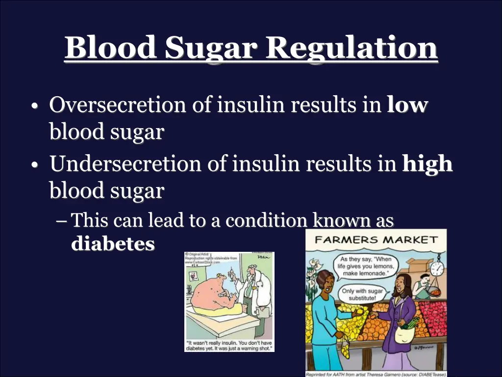 blood sugar regulation