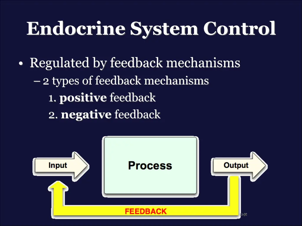endocrine system control