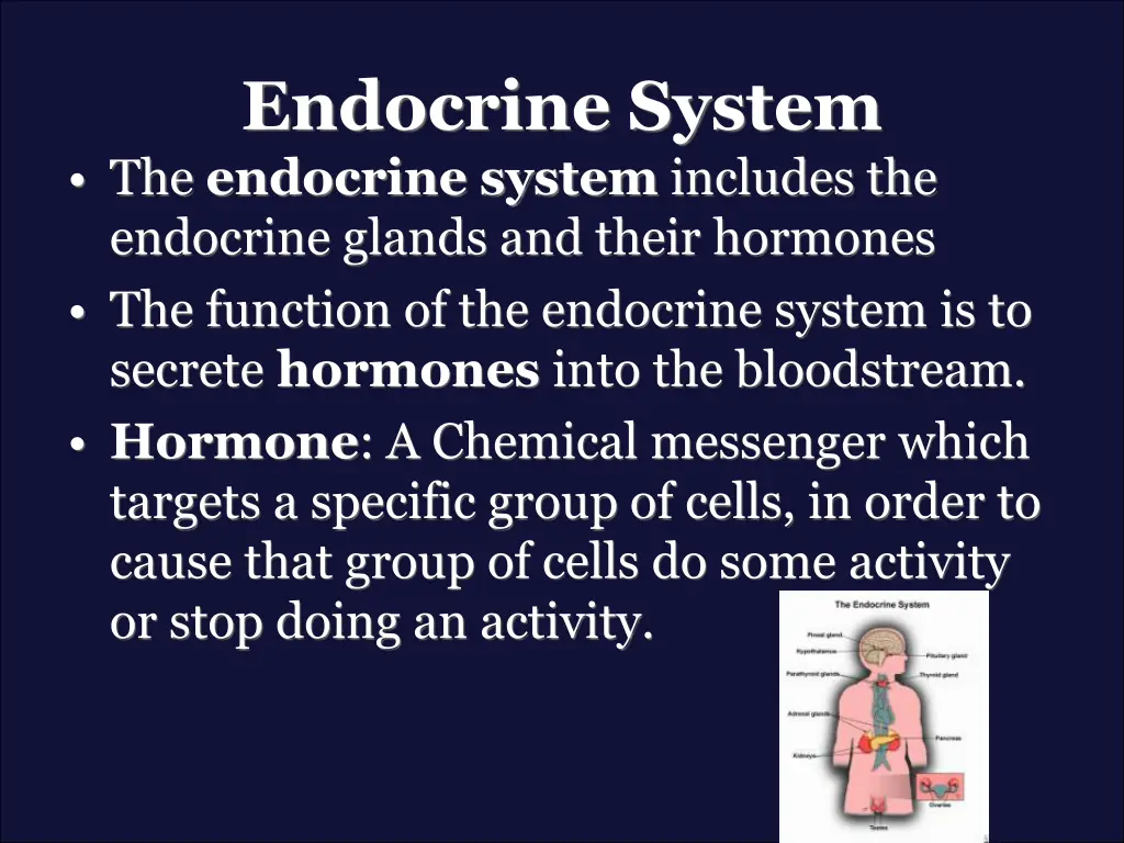 endocrine system the endocrine system includes