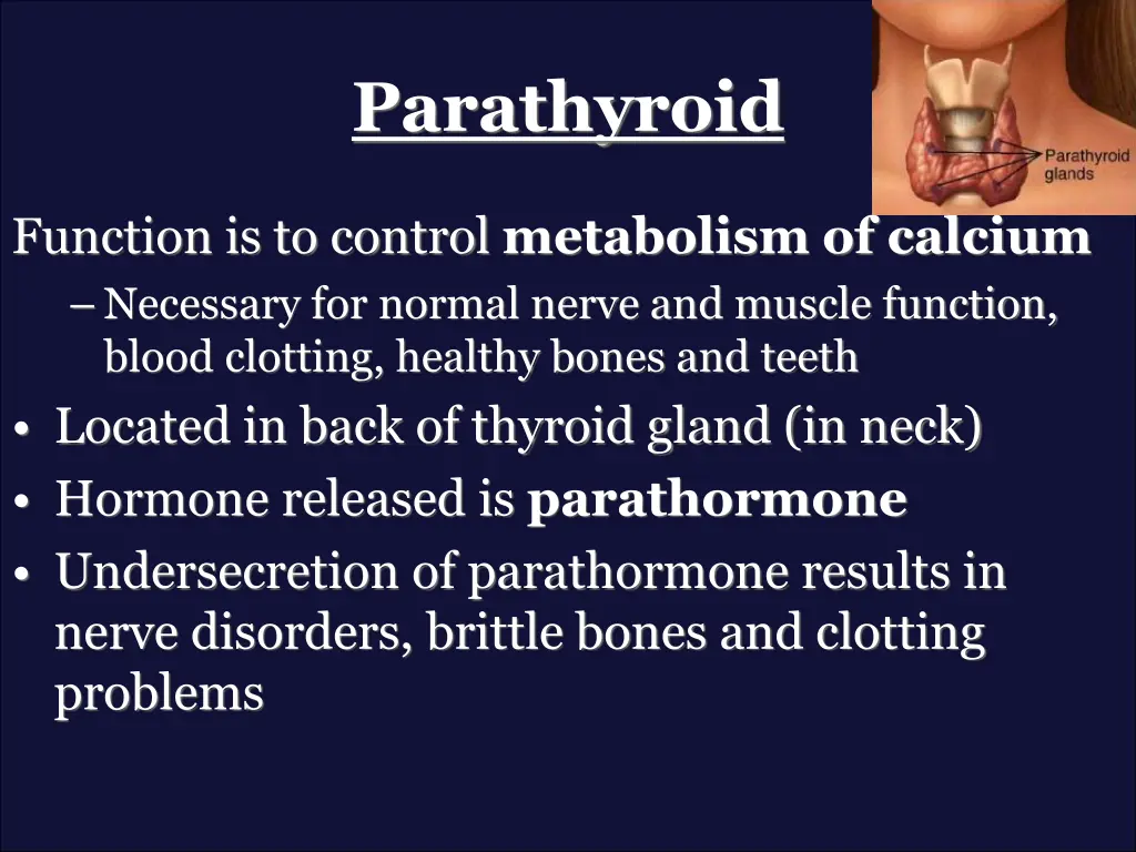 parathyroid