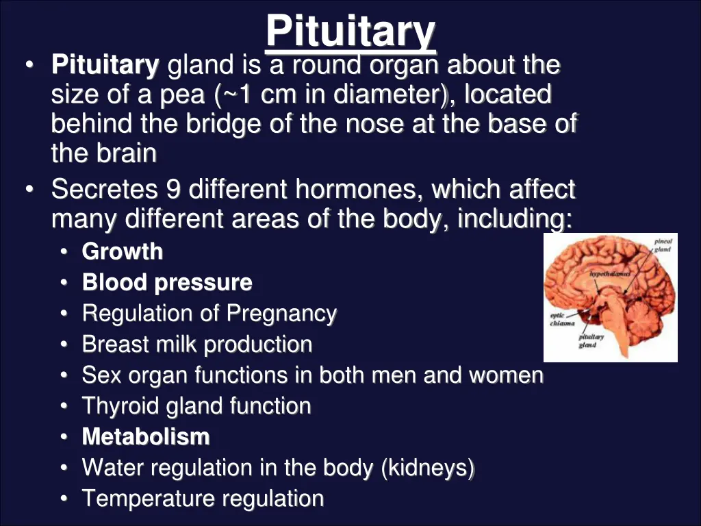 pituitary
