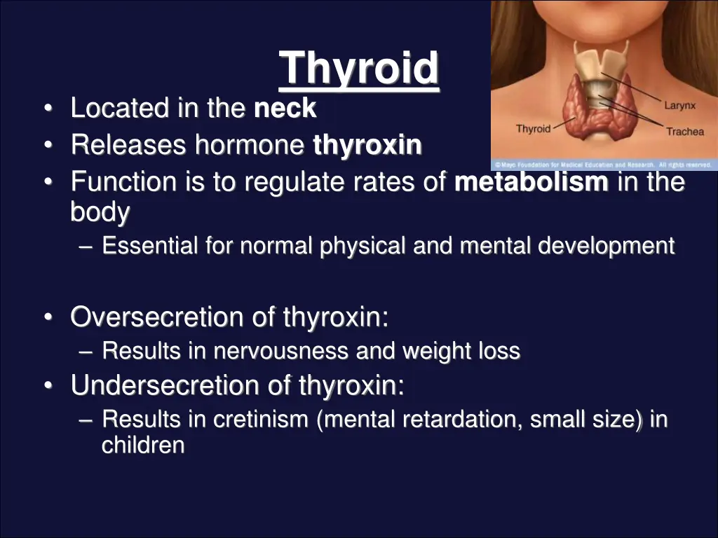 thyroid