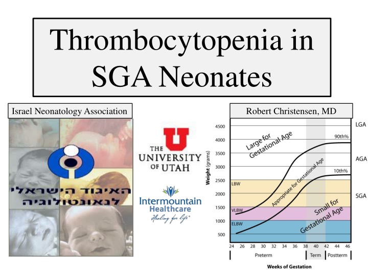 thrombocytopenia in sga neonates