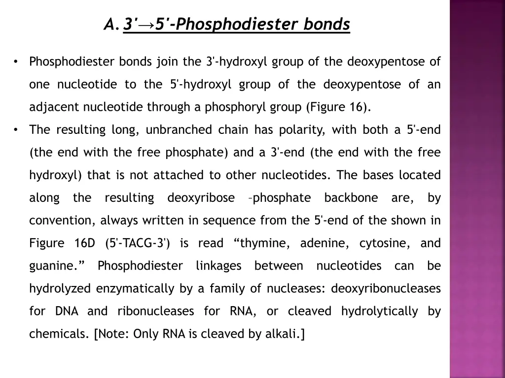 a 3 5 phosphodiester bonds