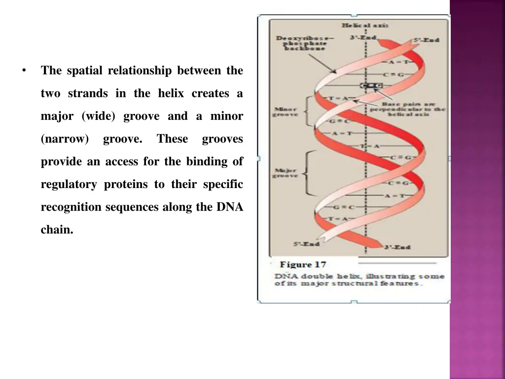 the spatial relationship between the