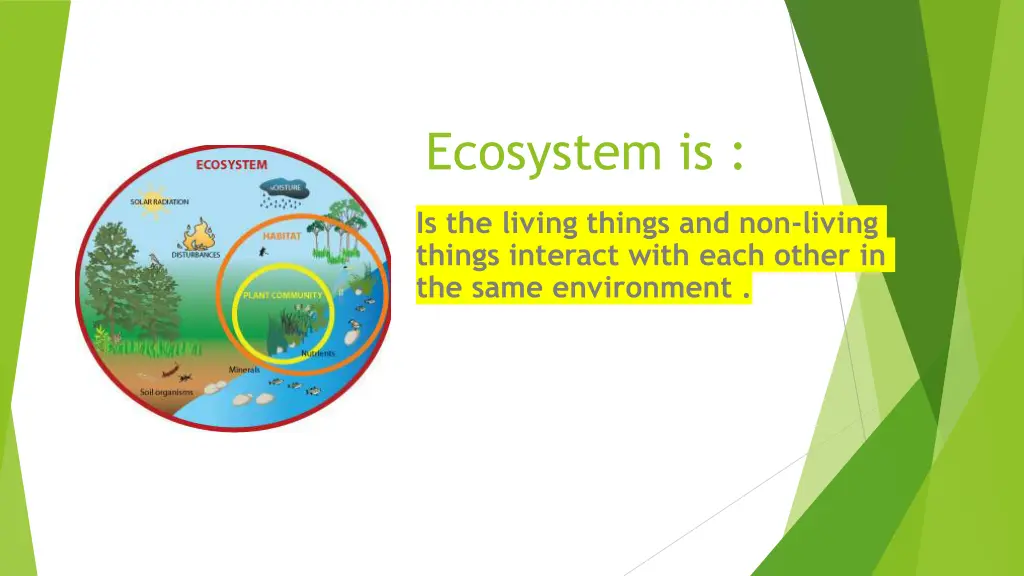 ecosystem is