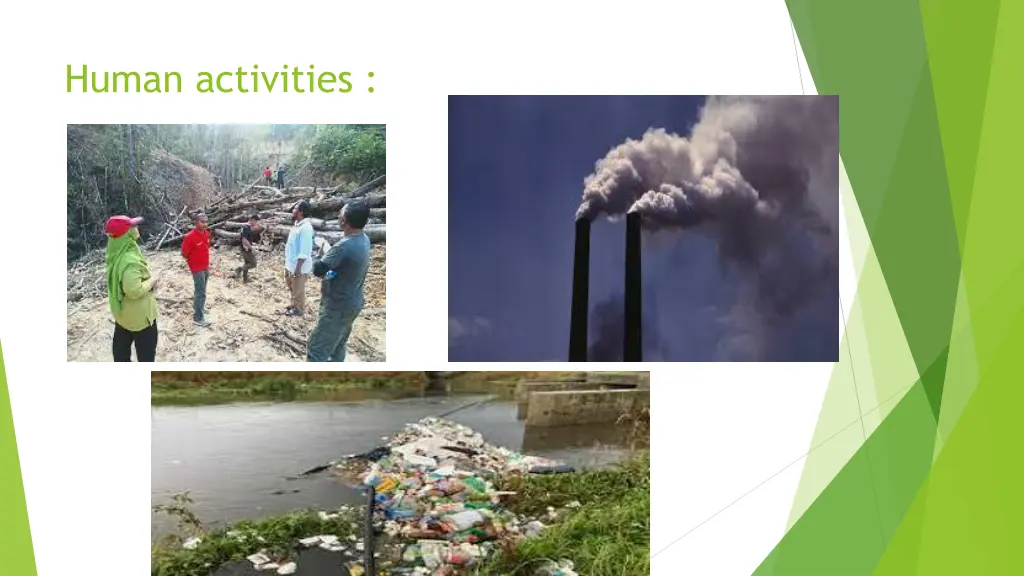 human activities