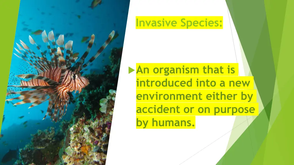 invasive species