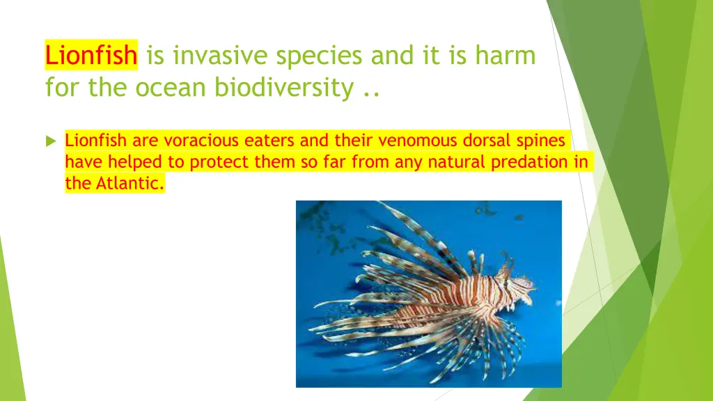 lionfish is invasive species and it is harm