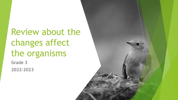 review about the changes affect the organisms