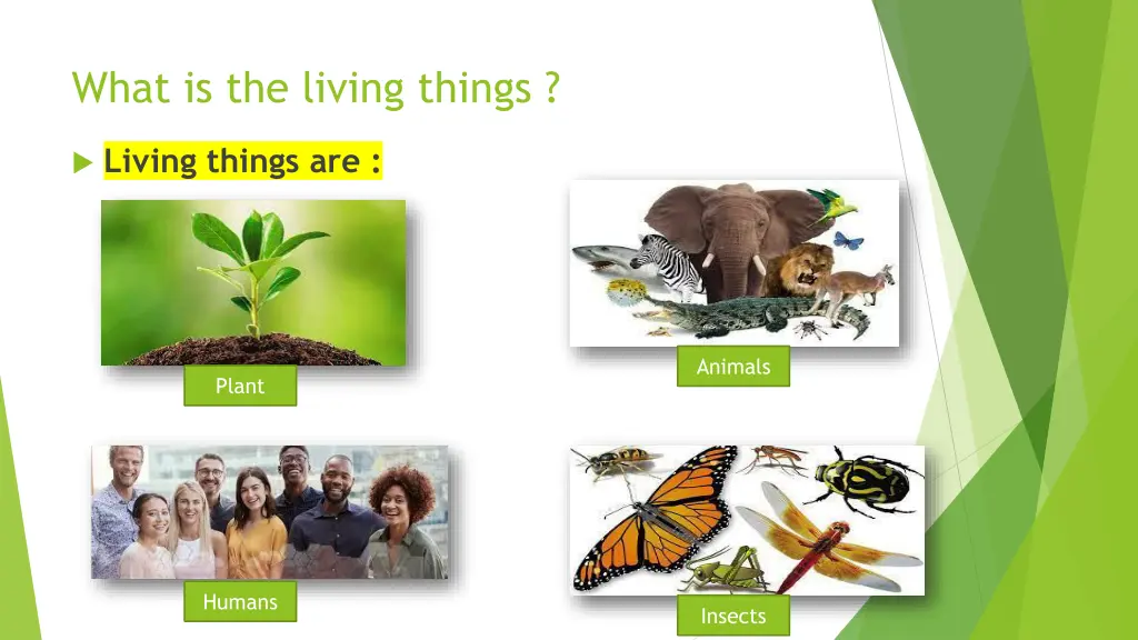 what is the living things