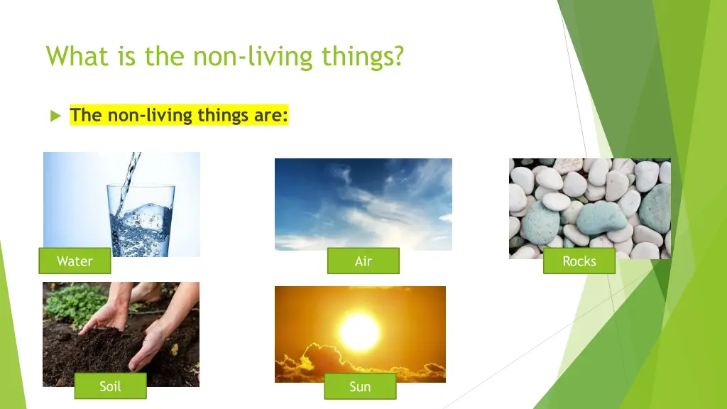 what is the non living things